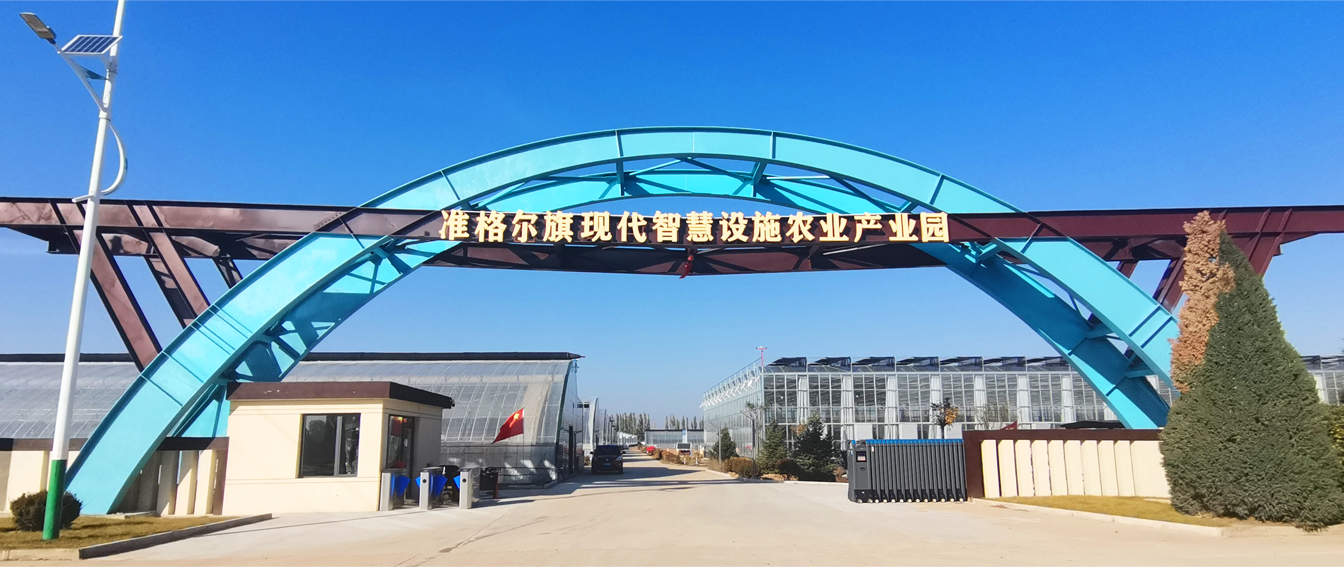 準格爾旗現(xiàn)代智慧設施農(nóng)業(yè)產(chǎn)業(yè)園_03.jpg