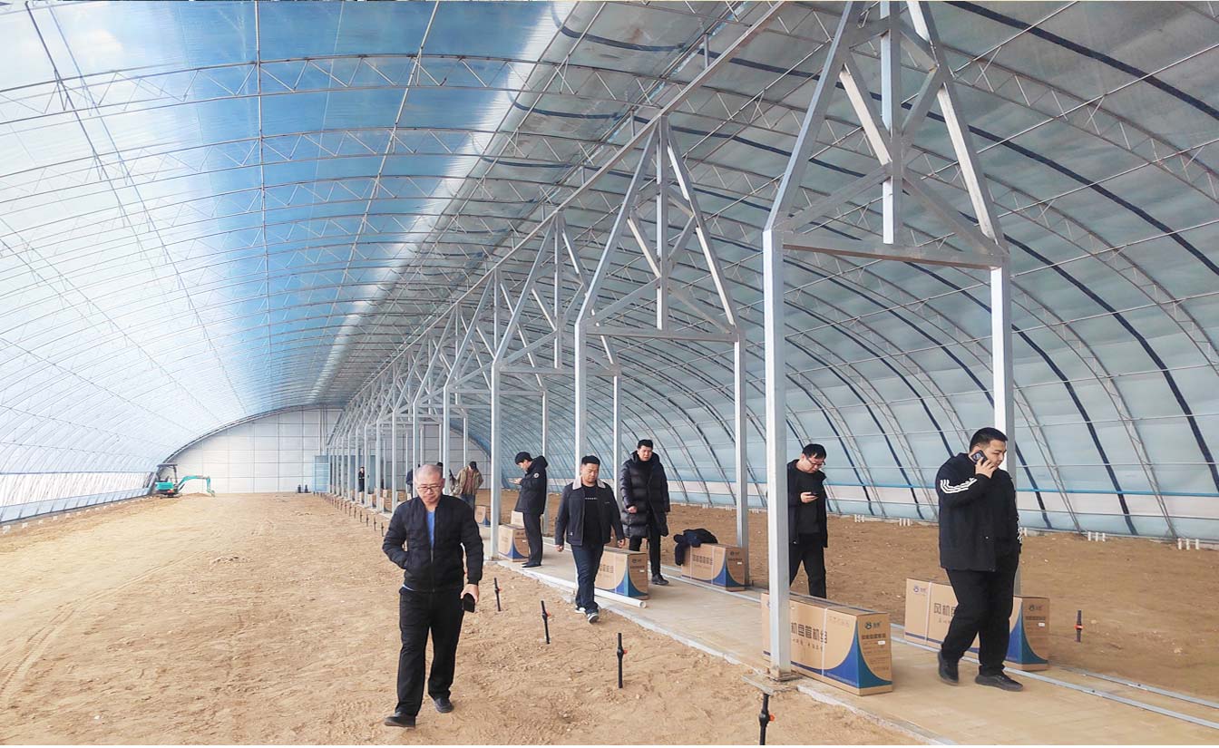 大路鎮(zhèn)苗家灘社區(qū)項目-智能溫室、日光溫室建設(shè)項目_09.jpg